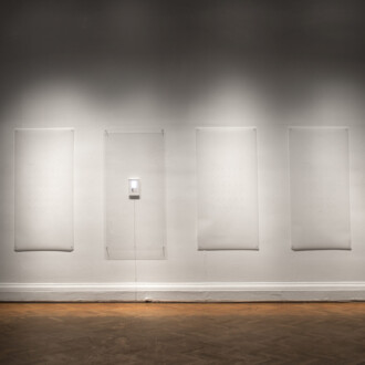 Anatomía para el movimiento: línea 2 y línea 3